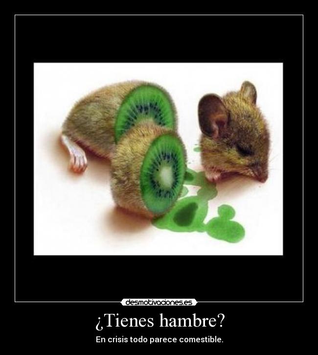 carteles hambre desmotivaciones