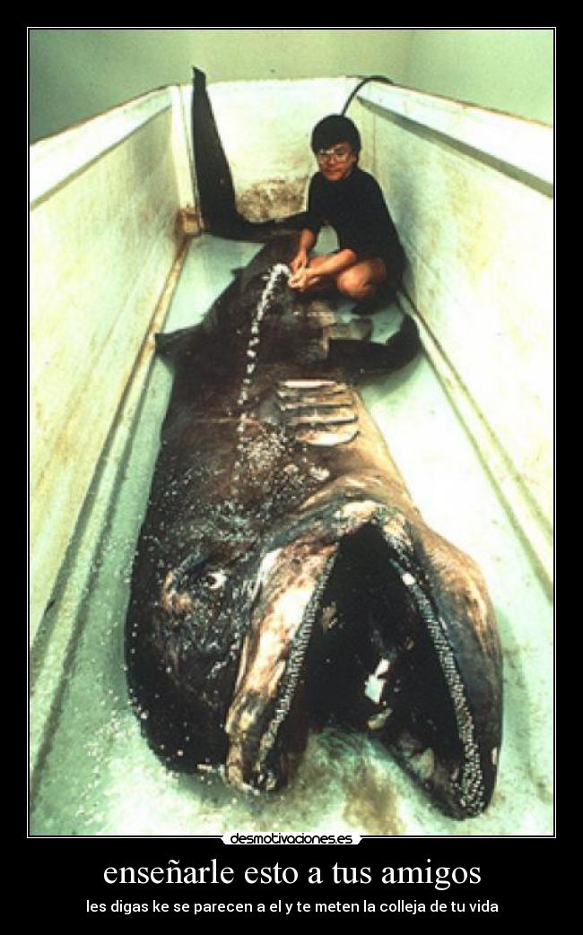 enseñarle esto a tus amigos - 