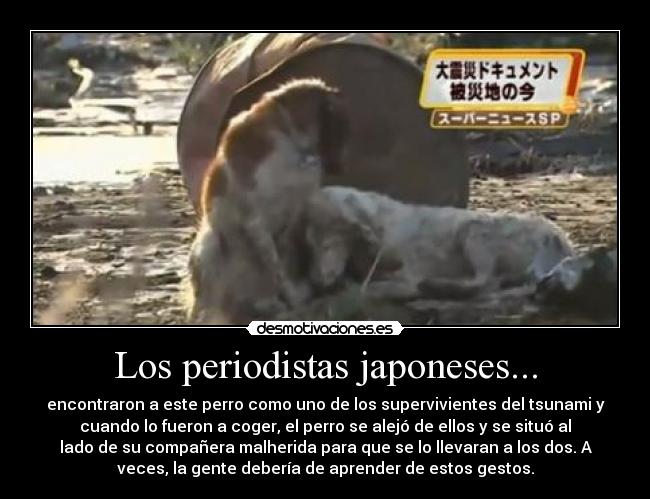 Los periodistas japoneses... - 