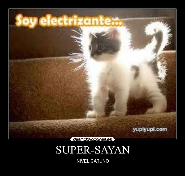 SUPER-SAYAN - NIVEL GATUNO