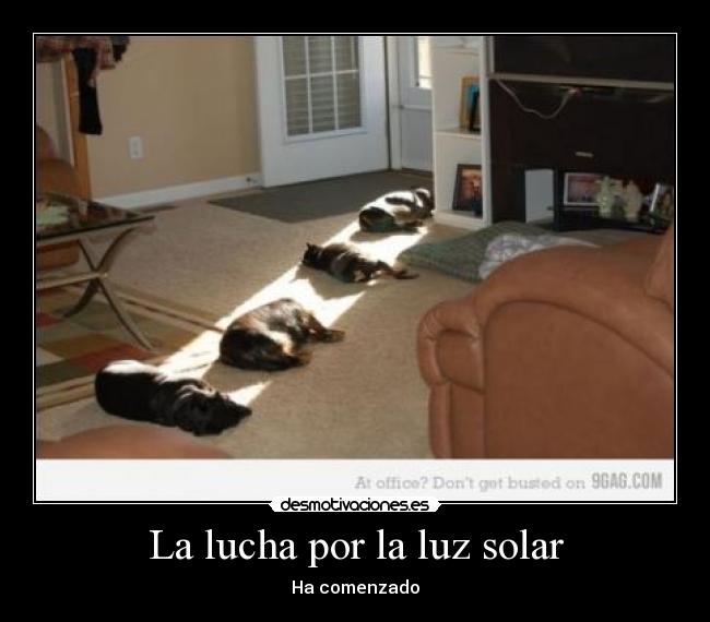 La lucha por la luz solar - Ha comenzado