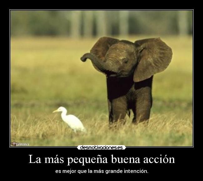 La más pequeña buena acción - 