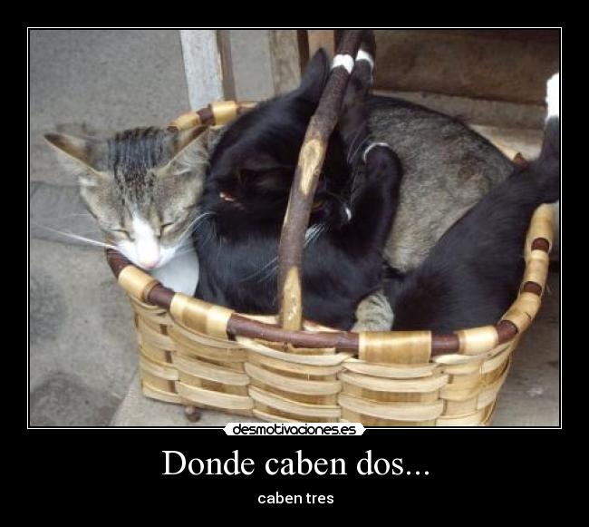 Donde caben dos... - caben tres