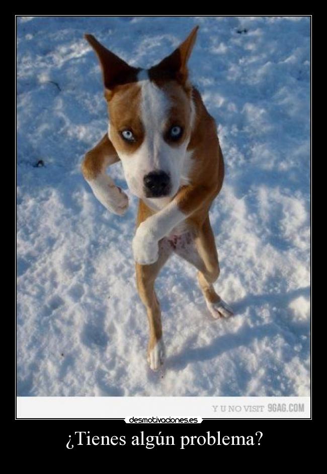 ¿Tienes algún problema? -