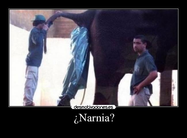 ¿Narnia? - 