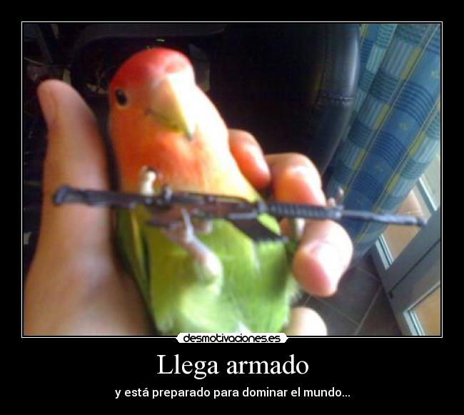 carteles guerrilla desmotivaciones