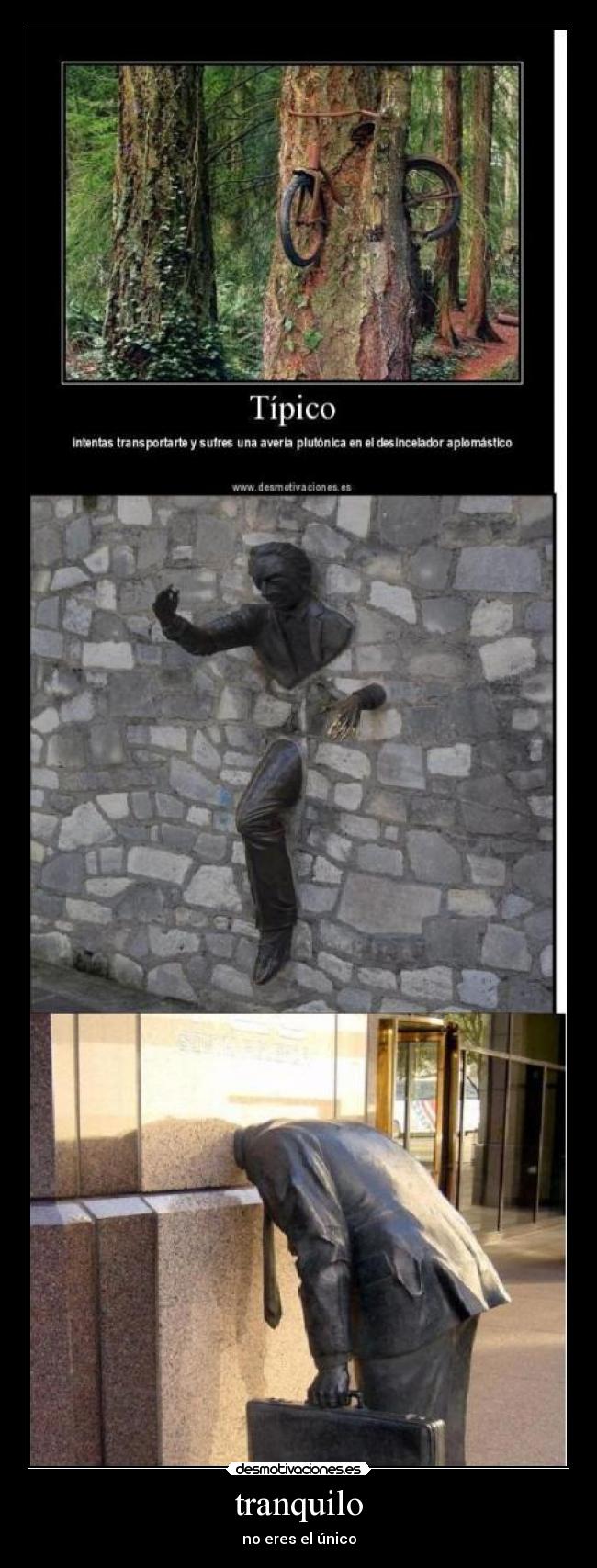 tranquilo - no eres el único