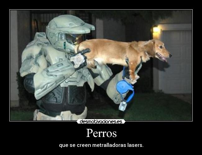 Perros - 