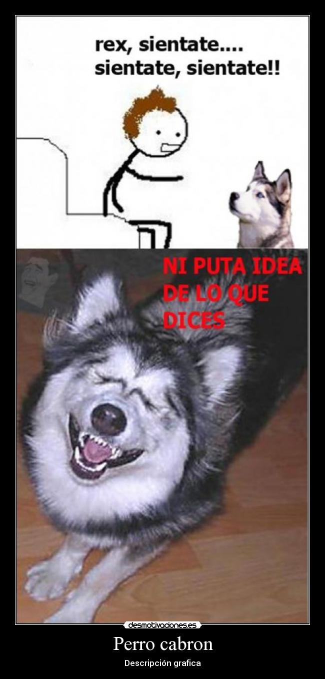 Perro cabron - Descripción grafica