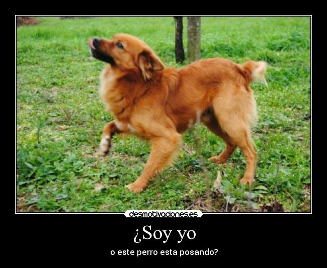 ¿Soy yo - 