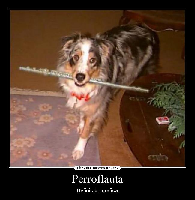 Perroflauta - Definicion grafica
