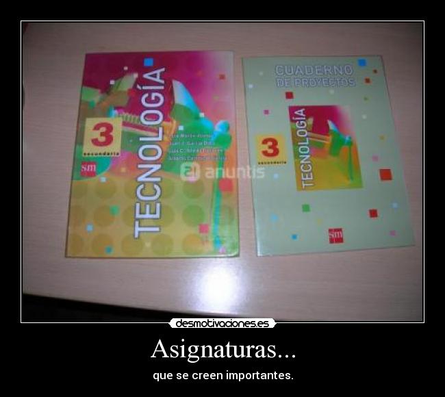 Asignaturas... - 