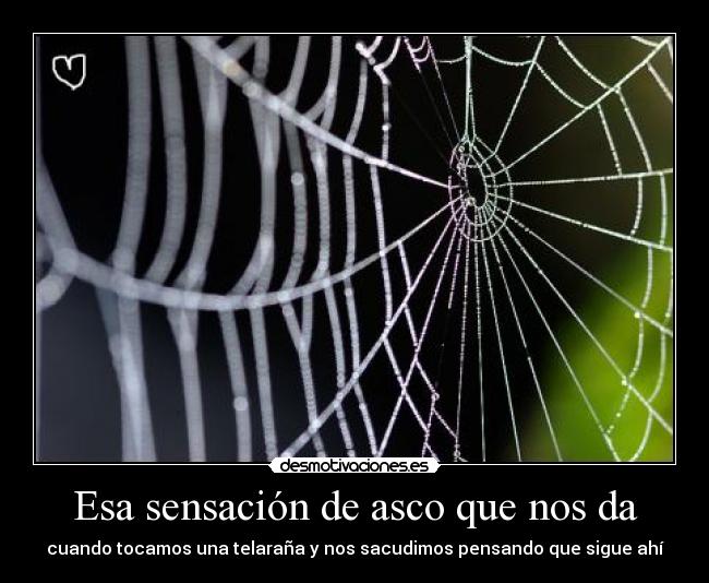 Esa sensación de asco que nos da - cuando tocamos una telaraña y nos sacudimos pensando que sigue ahí
