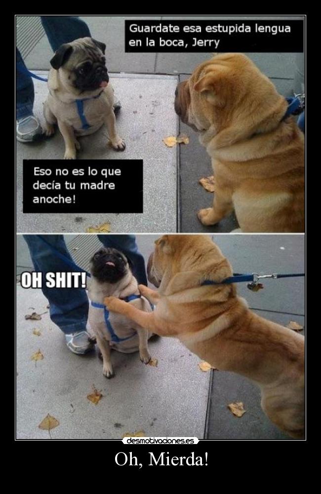 carteles perros pelea desmotivaciones