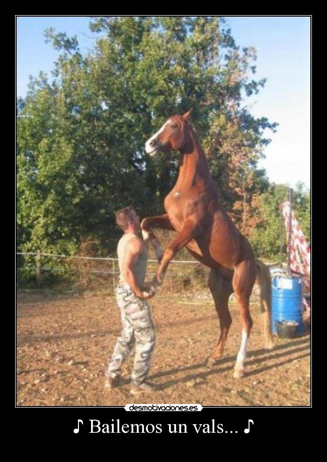 ♪ Bailemos un vals... ♪ -