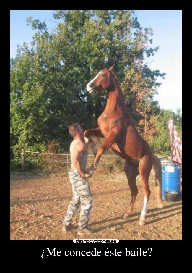 ¿Me concede éste baile? -