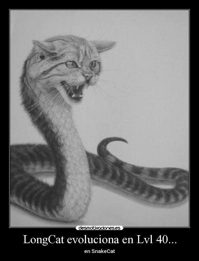 LongCat evoluciona en Lvl 40... - en SnakeCat