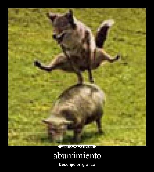 aburrimiento - Descripción grafica