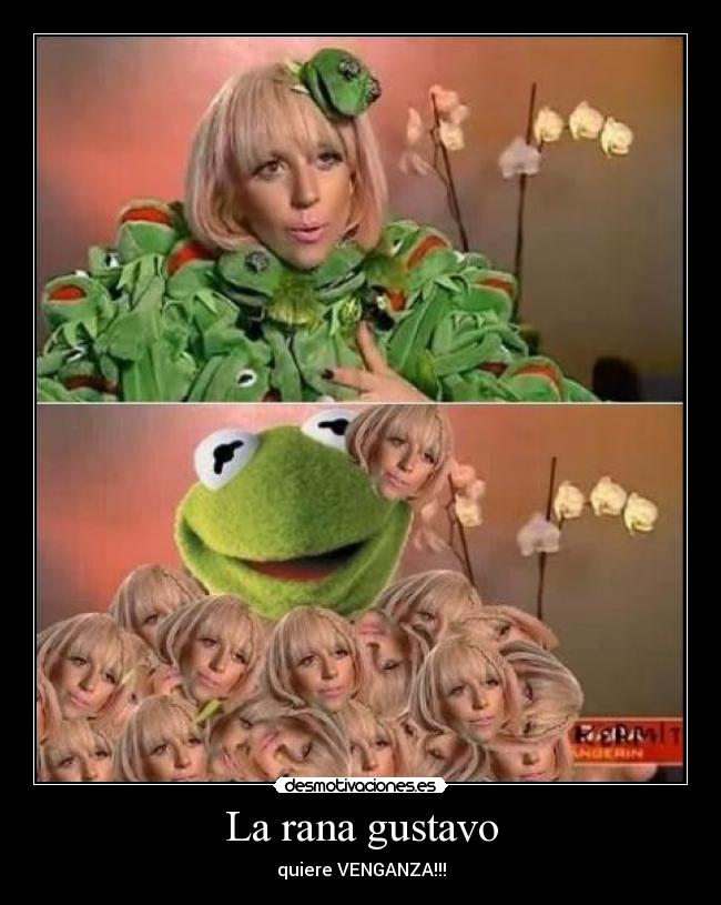 La rana gustavo - 