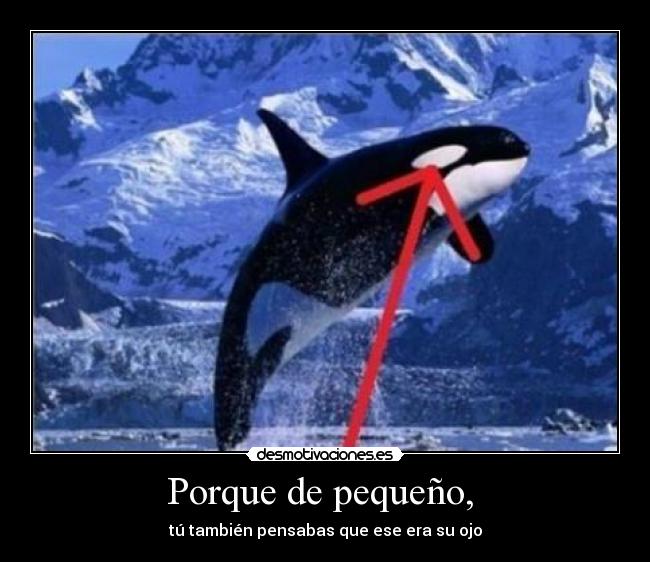 carteles ffffffffff desmotivaciones