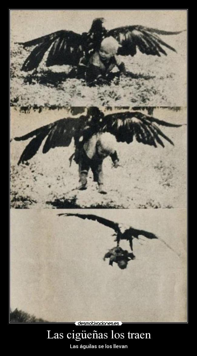 Las cigüeñas los traen - 