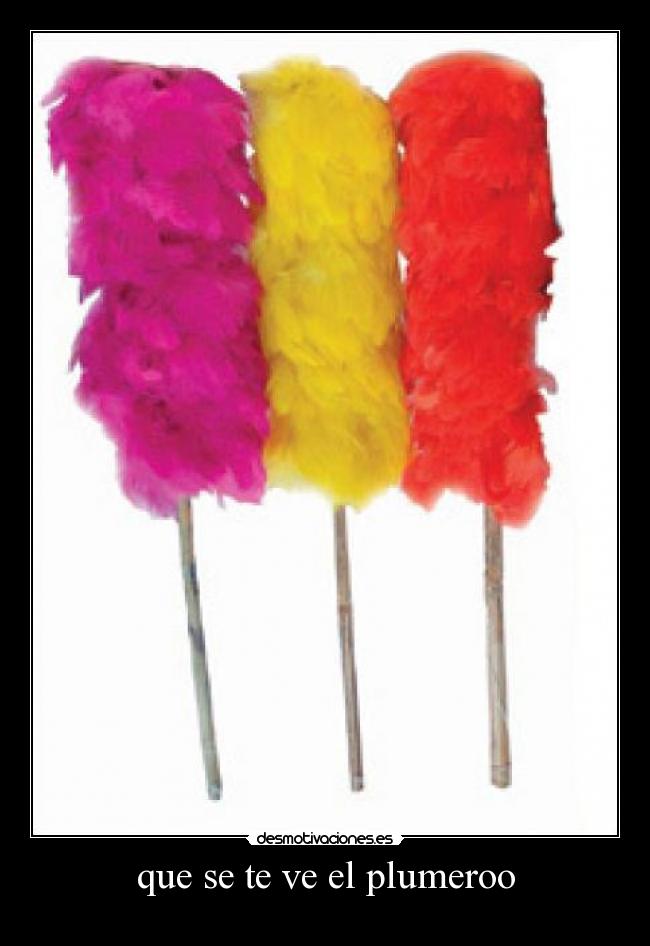 que se te ve el plumeroo - 