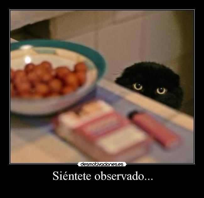 Siéntete observado... -