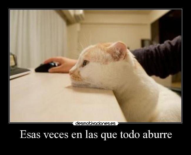 Esas veces en las que todo aburre - 