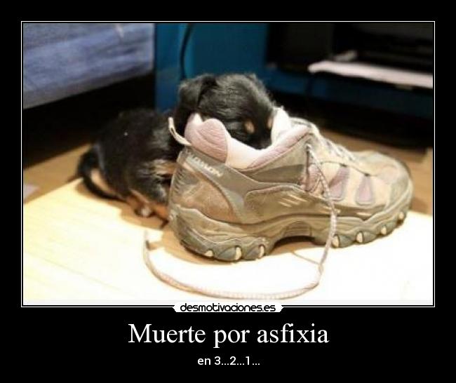 Muerte por asfixia -