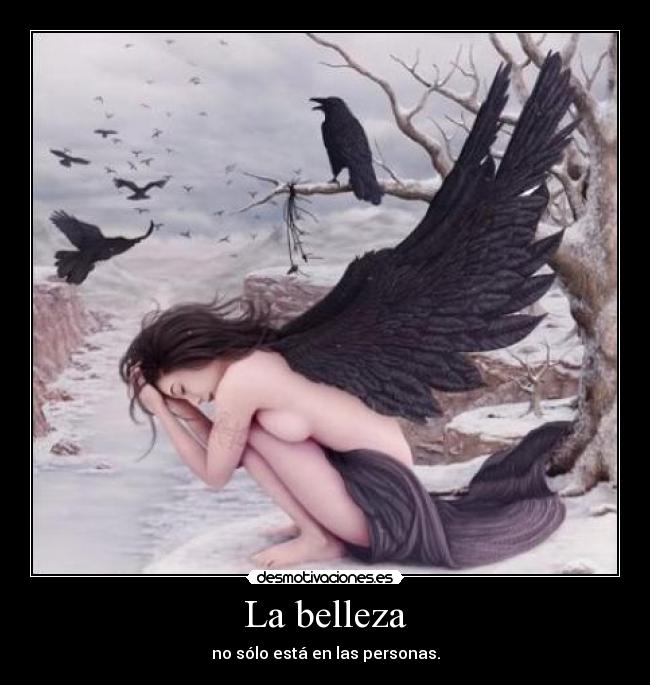 La belleza - no sólo está en las personas.
