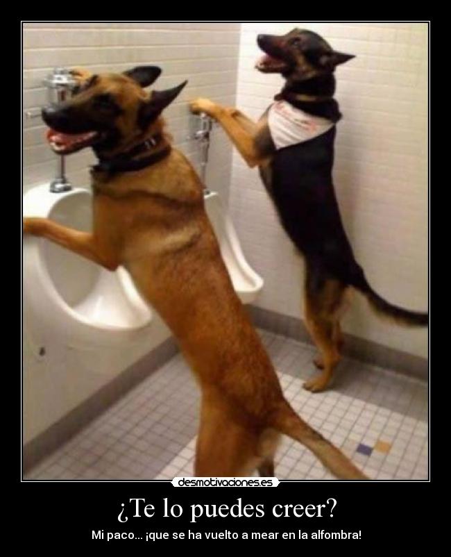 ¿Te lo puedes creer? - 