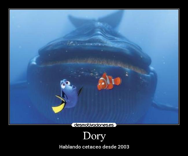 Dory -