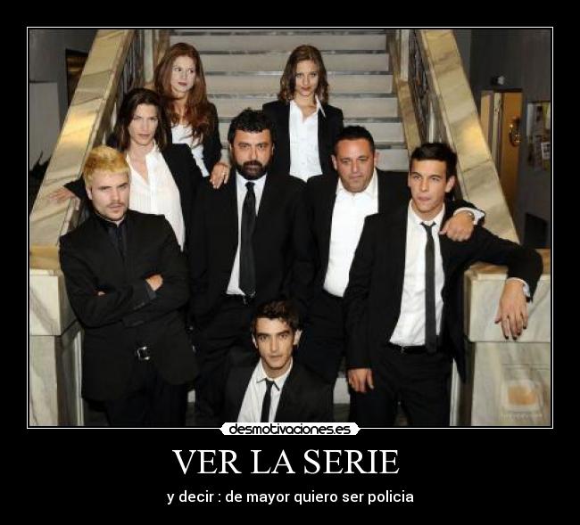 VER LA SERIE  - 