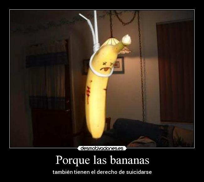 Porque las bananas -