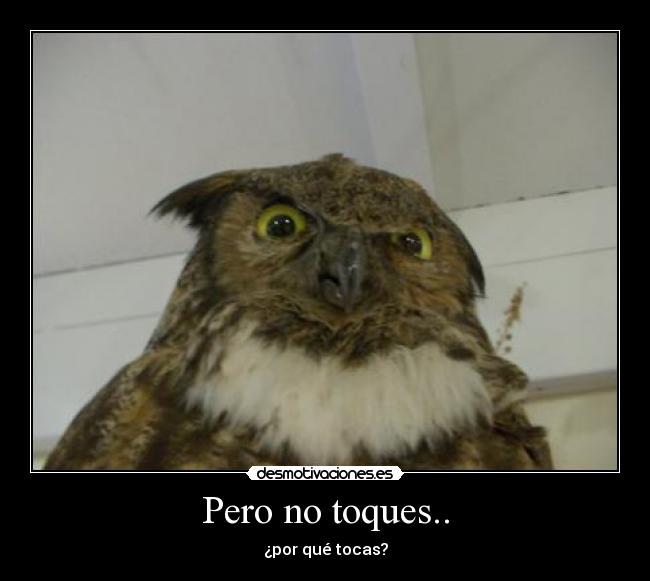 carteles tocasmotivamotivacion toques desmotivaciones