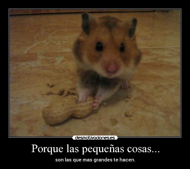 Porque las pequeñas cosas... - 