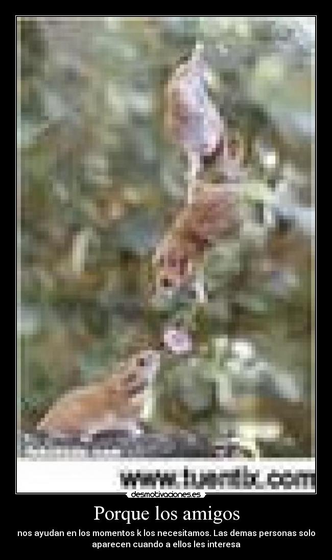 carteles amigos mago_de_oz desmotivaciones