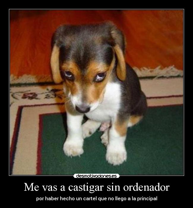 Me vas a castigar sin ordenador - por haber hecho un cartel que no llego a la principal