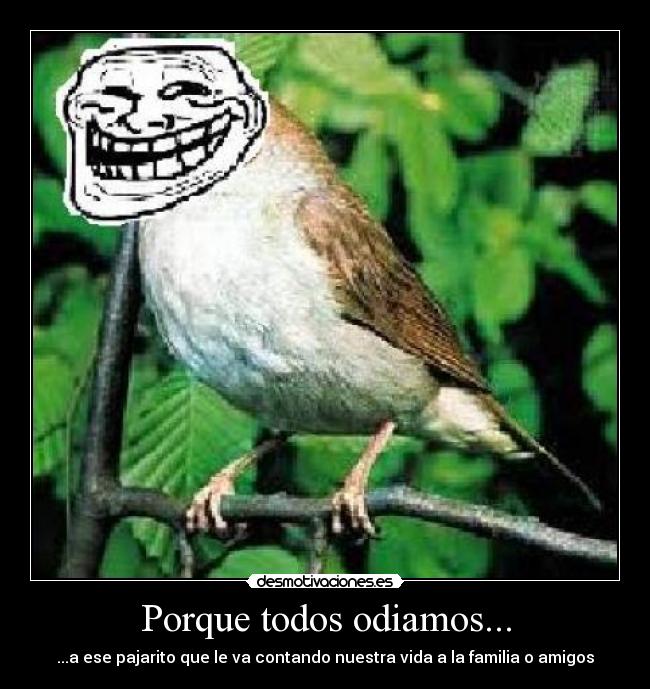 Porque todos odiamos... - ...a ese pajarito que le va contando nuestra vida a la familia o amigos