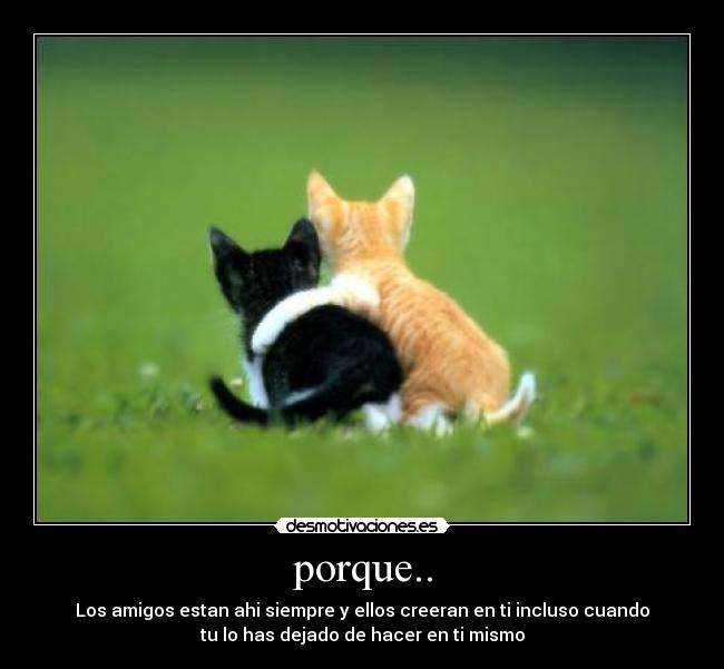 porque.. - 