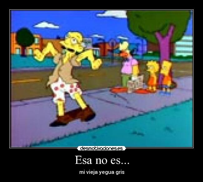 Esa no es... - mi vieja yegua gris