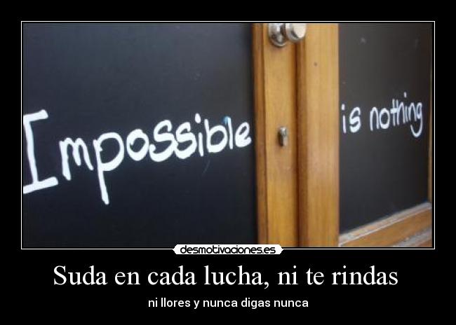 Suda en cada lucha, ni te rindas  - ni llores y nunca digas nunca