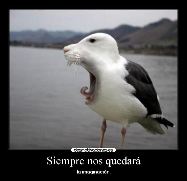 Siempre nos quedará -