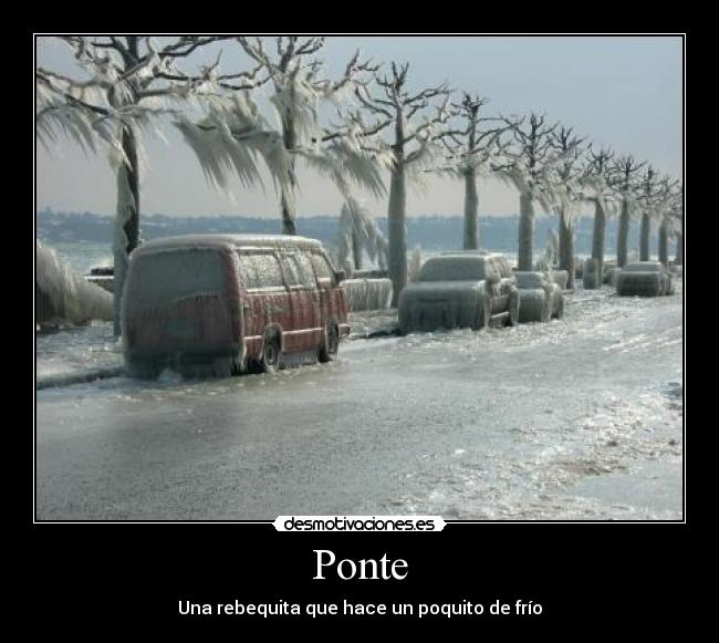 Ponte - Una rebequita que hace un poquito de frío