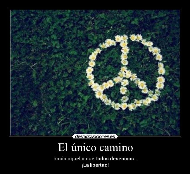 El único camino - 