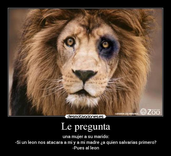 Le pregunta - una mujer a su marido:
-Si un leon nos atacara a mi y a mi madre ¿a quien salvarias primero?
-Pues al leon
