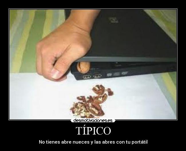 TÍPICO - 