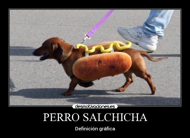 PERRO SALCHICHA - Definición gráfica