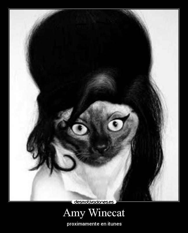 Amy Winecat - proximamente en itunes