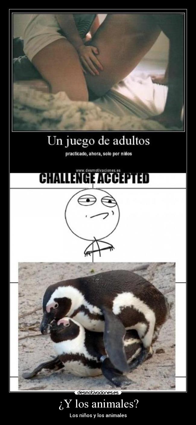 ¿Y los animales? -